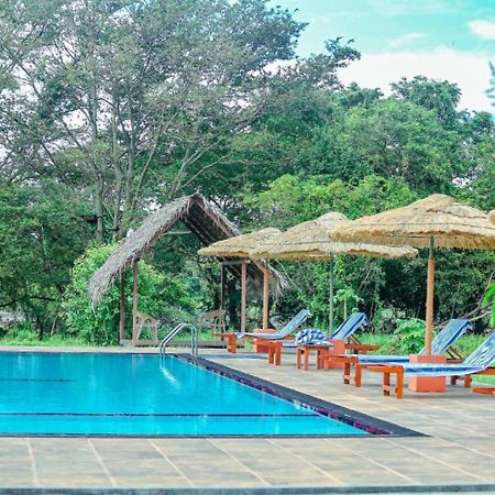 Sigiriya Peacock Homestay Zewnętrze zdjęcie