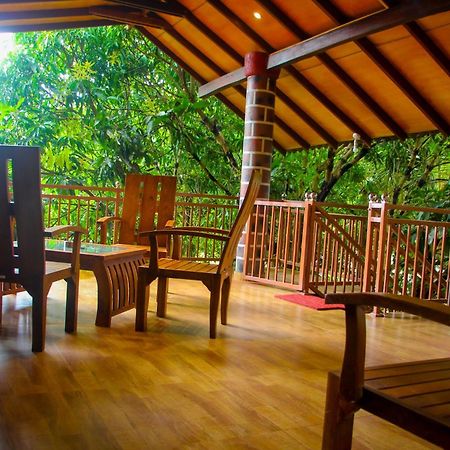 Sigiriya Peacock Homestay Zewnętrze zdjęcie
