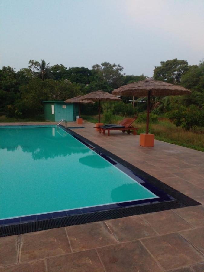 Sigiriya Peacock Homestay Zewnętrze zdjęcie