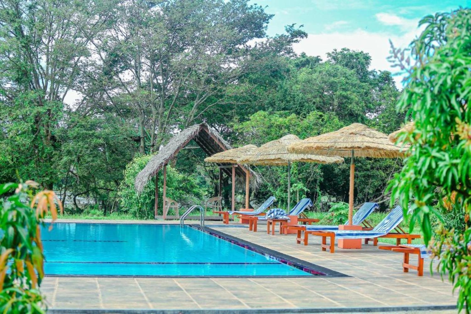 Sigiriya Peacock Homestay Zewnętrze zdjęcie