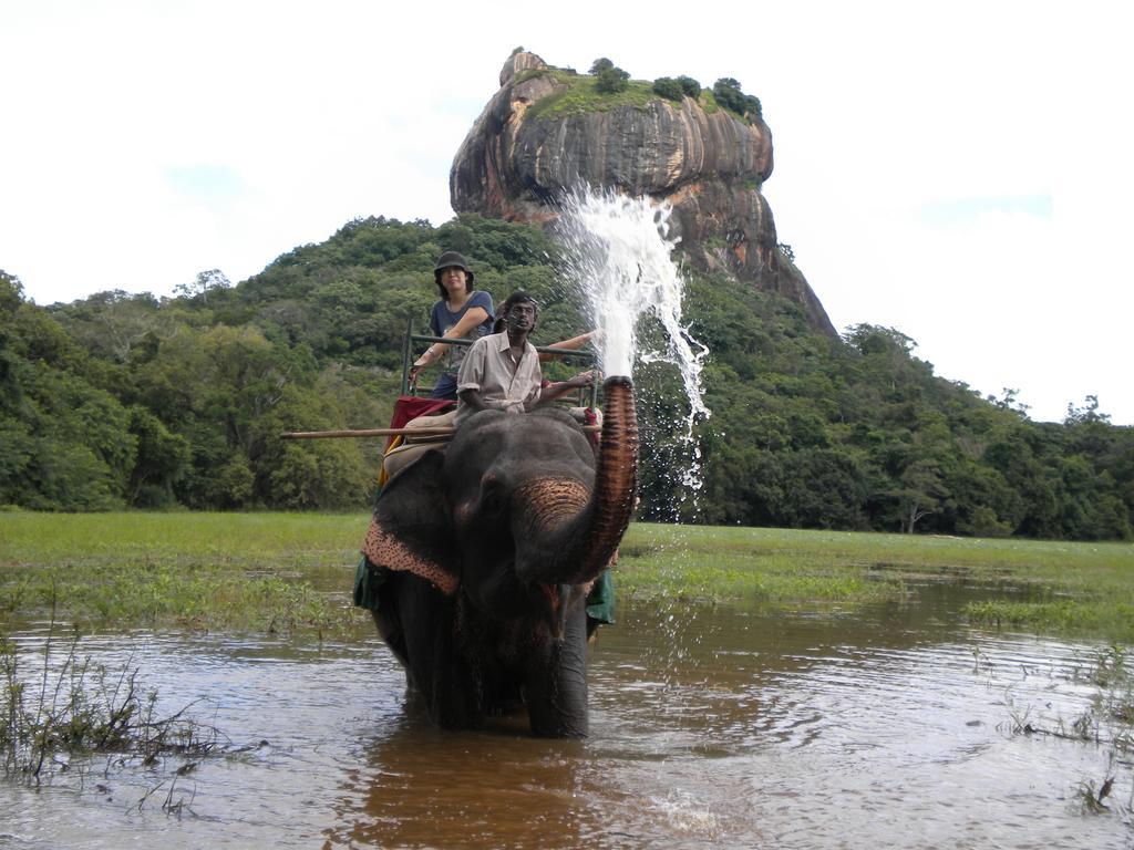 Sigiriya Peacock Homestay Zewnętrze zdjęcie