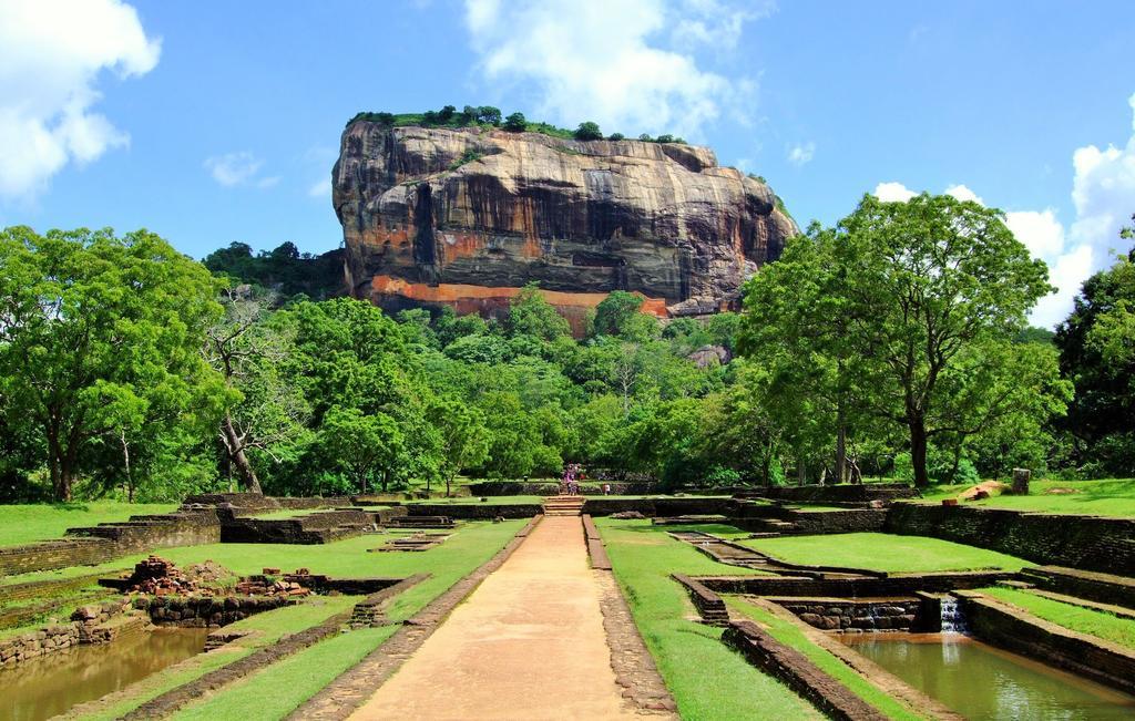 Sigiriya Peacock Homestay Zewnętrze zdjęcie