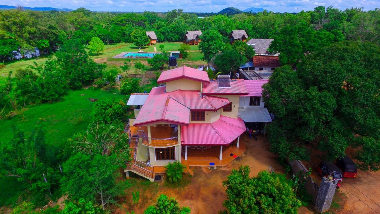 Sigiriya Peacock Homestay Zewnętrze zdjęcie